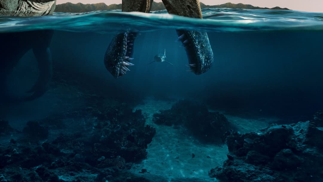 image is not available